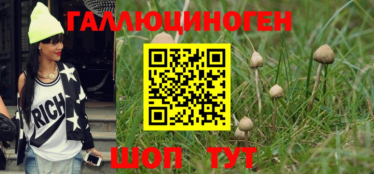 Псилоцибиновые грибы мицелий Зерноград