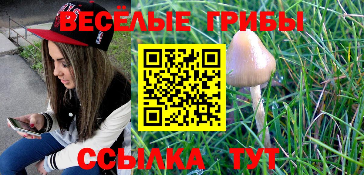 Зерноград  Галлюциногенные грибы Psilocybine cubensis  Вход с VPN 